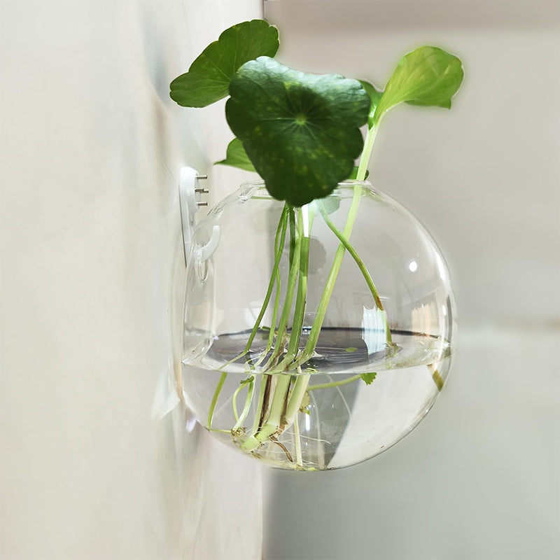 WallBloom™ | Green Up Your Walls—No Drills, No Damage!