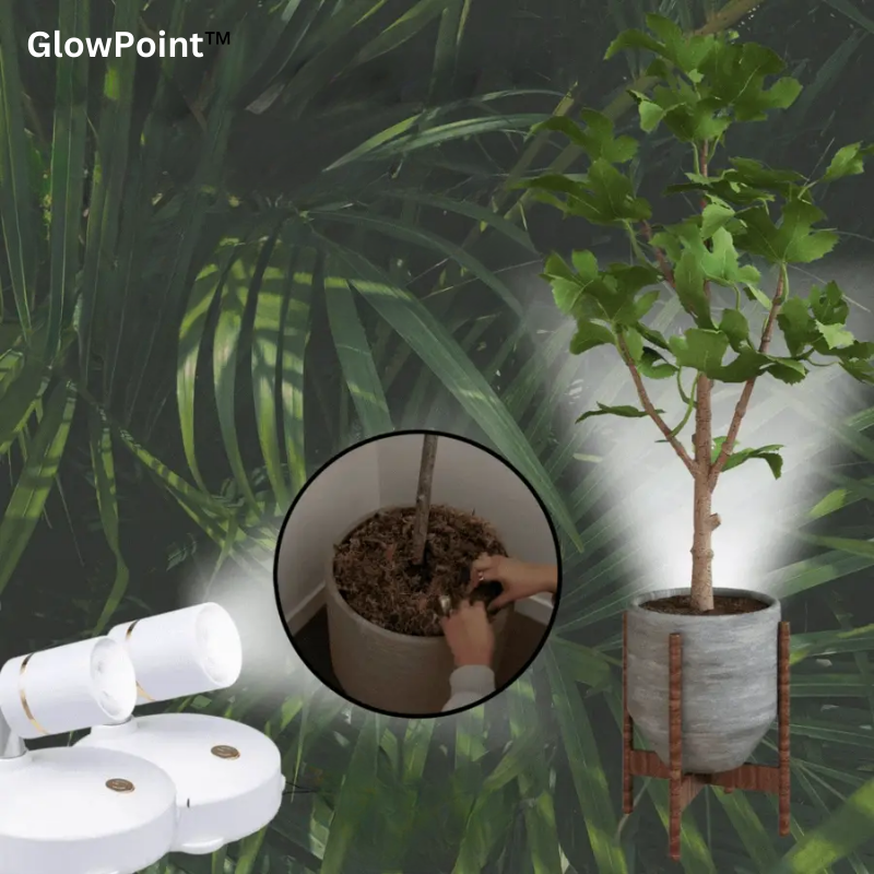 GlowPoint™ – Compact Light for Dark Corners