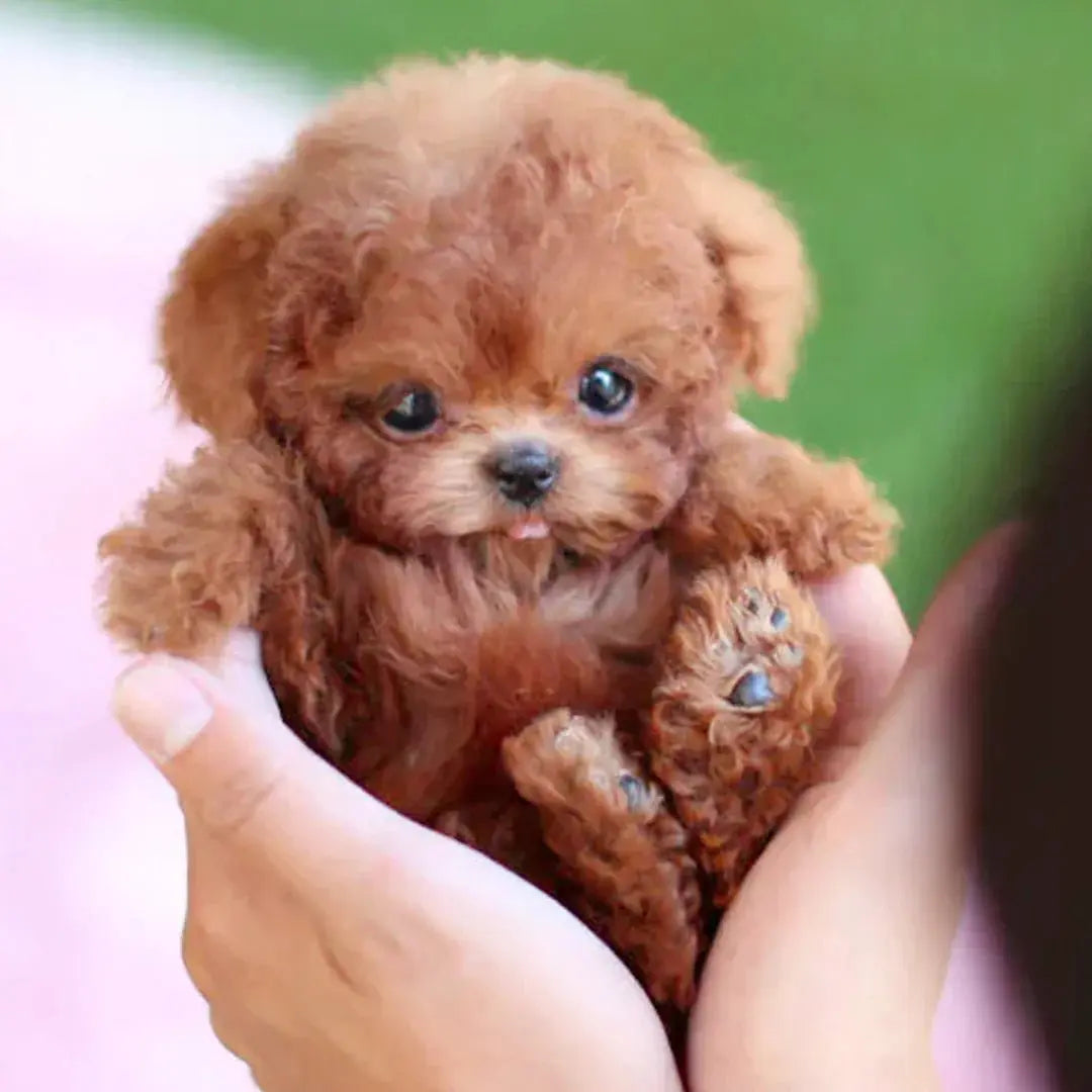 Realistic Puppy That Brings Comfort and Joy